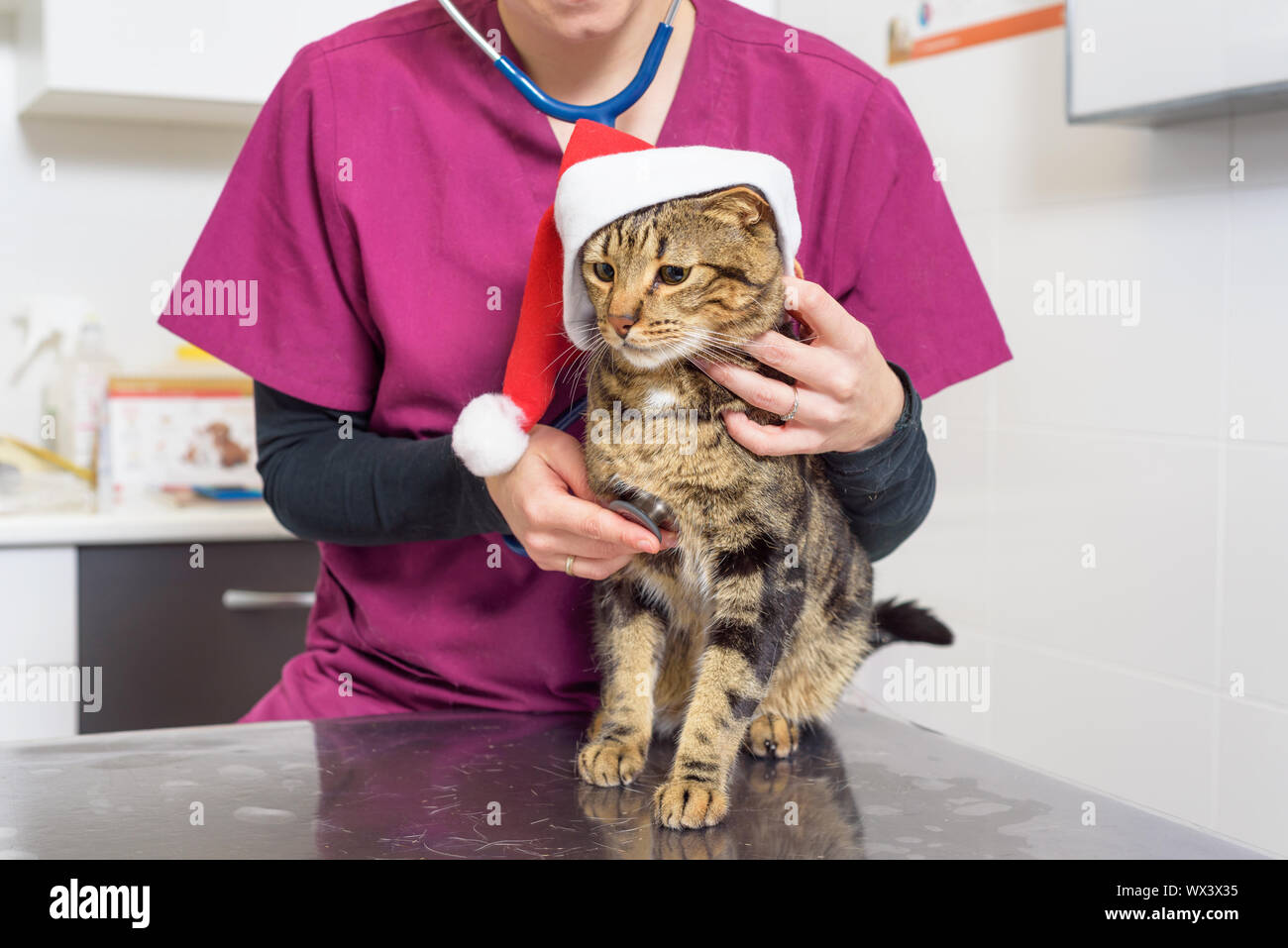 pretty-bee592: Cute cat wearing nursing hat, surrounded by flowers