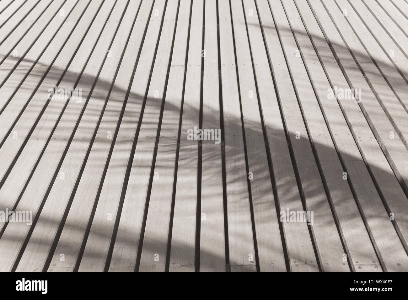 Rustic wood planks, with beautiful palm shadows Stock Photo