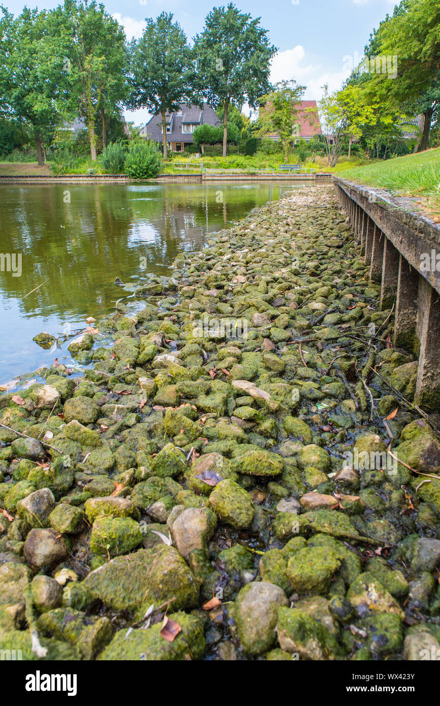 Pond in city district with low water level Stock Photo