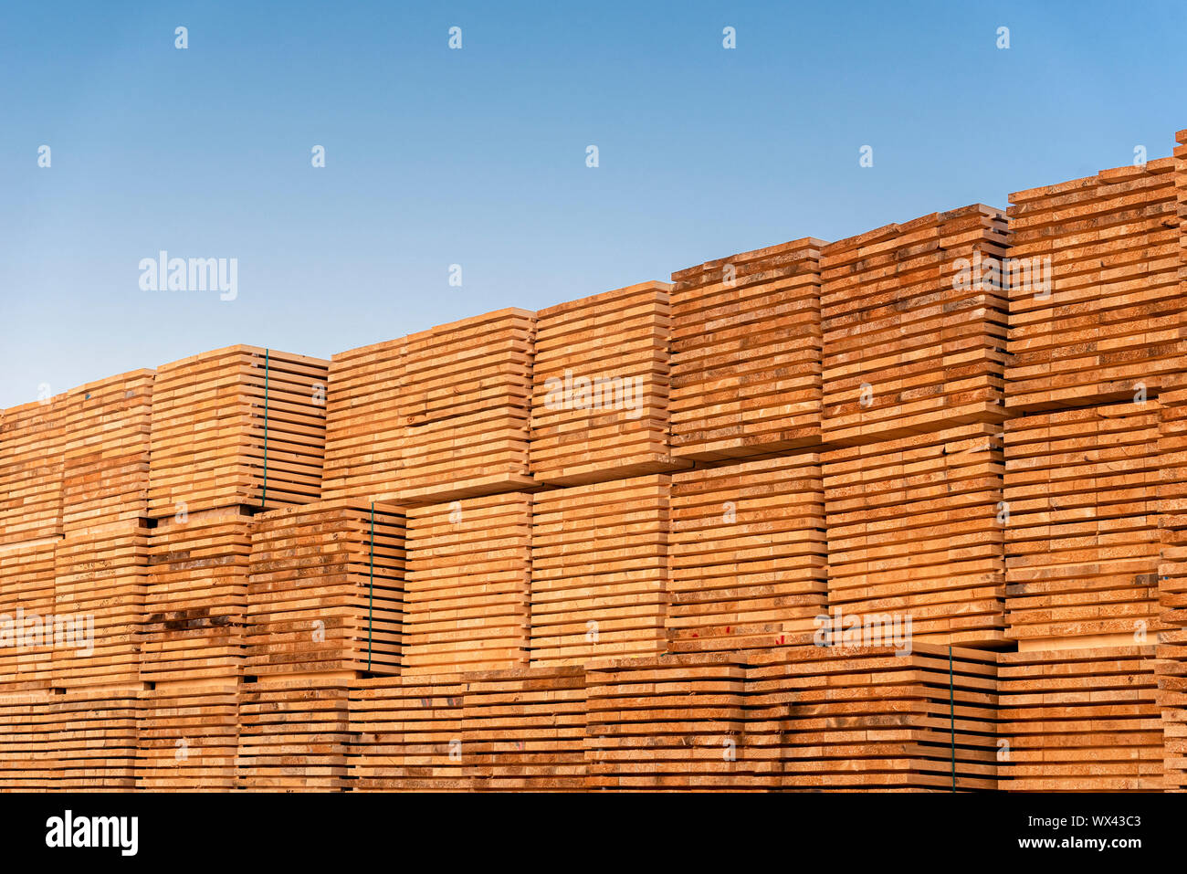 Stacks of wood boards under the blue sky. Outdoor wood storage. Woodworking industry Stock