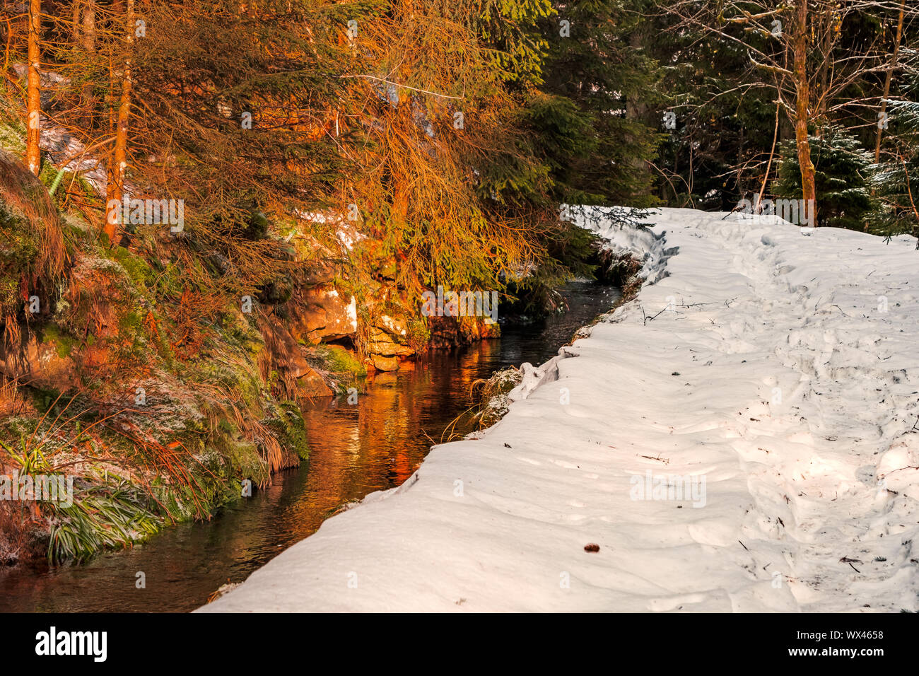 Harz National Park in Winter Oderteich Stock Photo