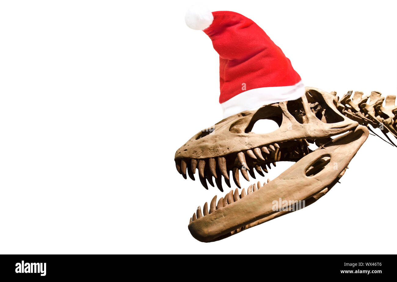 Dinosaur skeleton with christmas hat on 