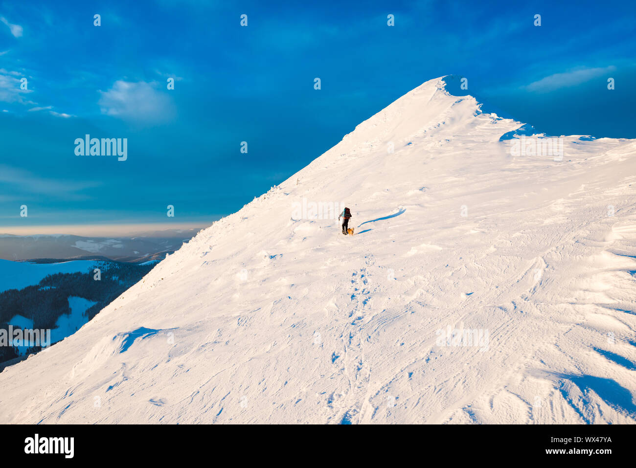 Mountaineer with dog climbing on mountain top Stock Photo