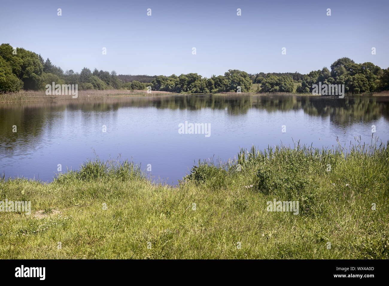 Large beautiful lake, with banks overgrown with forest. Stock Photo