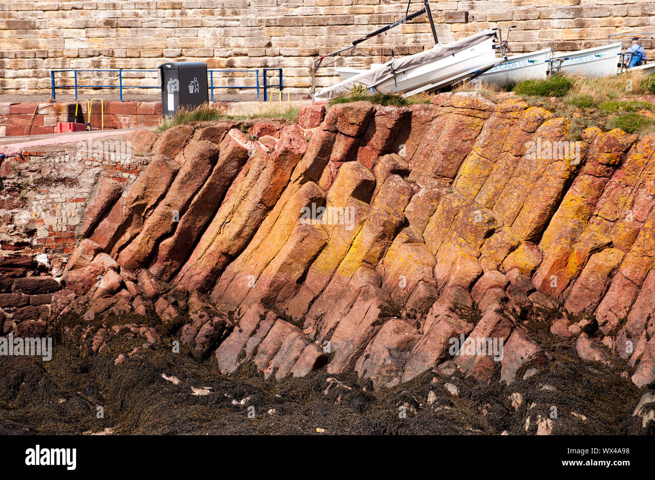 Columnar jointing is displayed in an outcrop of basalt at The Battery