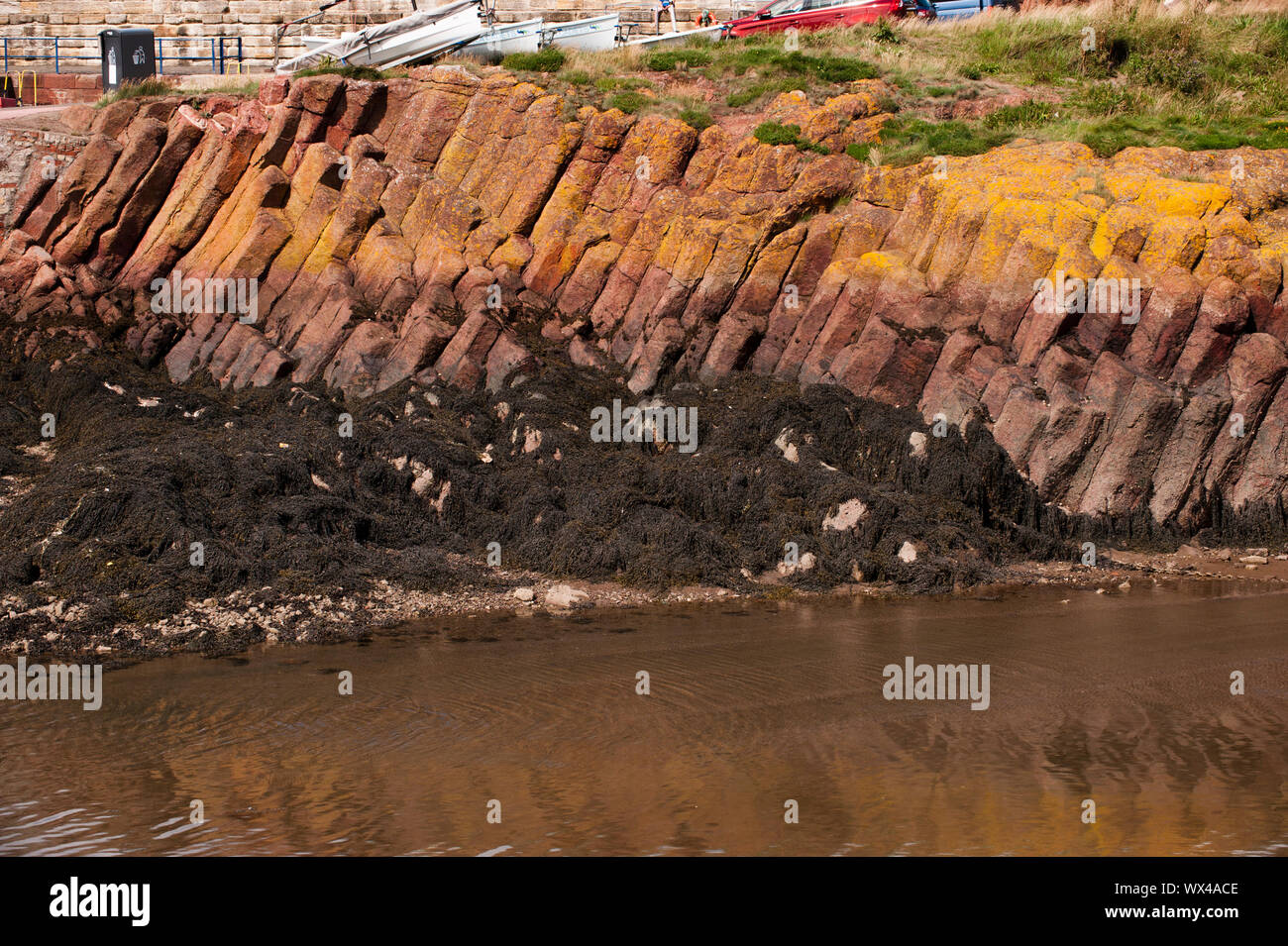 Columnar jointing is displayed in an outcrop of basalt at The Battery