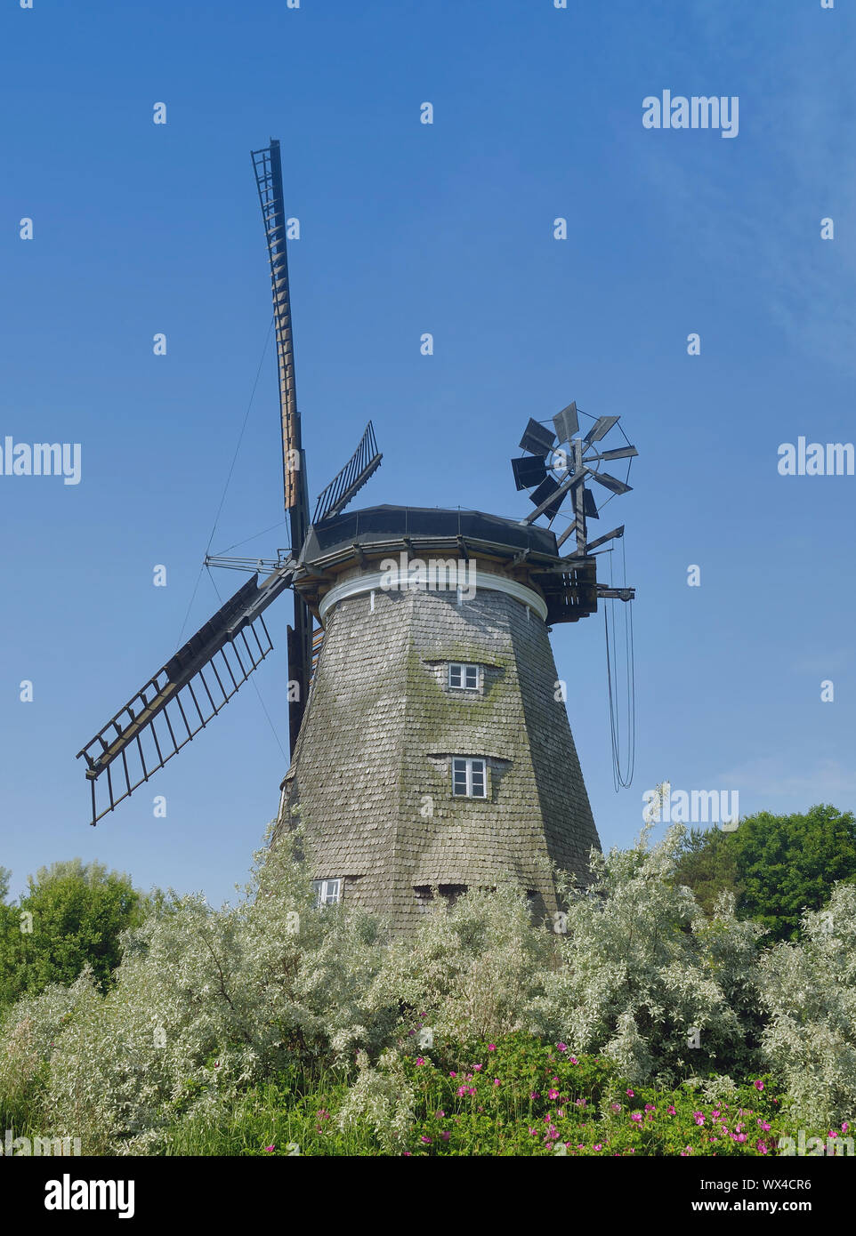 Windmill of Benz on Usedom,baltic Sea,Mecklenburg western Pomerania,Germany Stock Photo