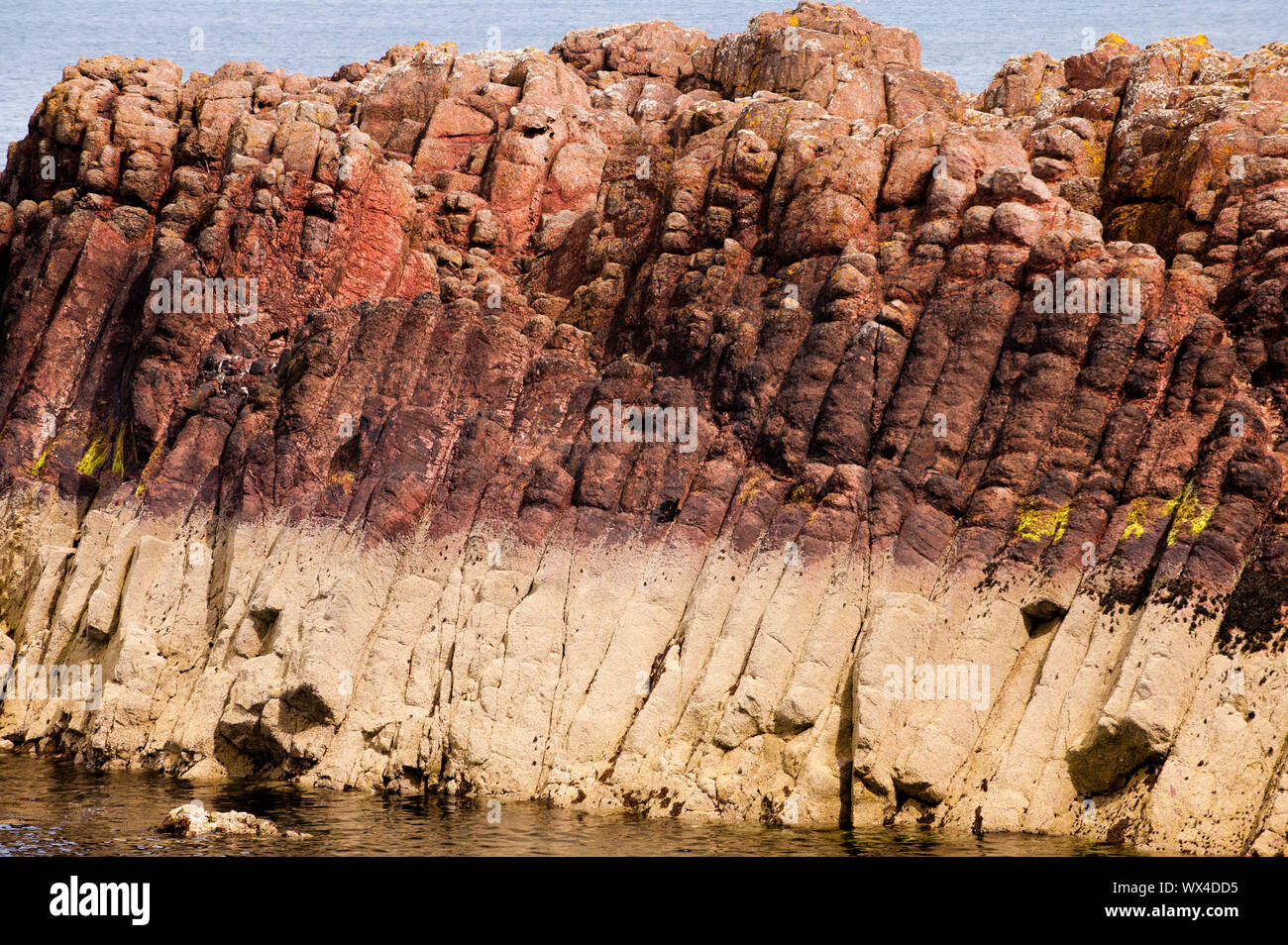 Columnar jointing is displayed in an outcrop of basalt at The Battery