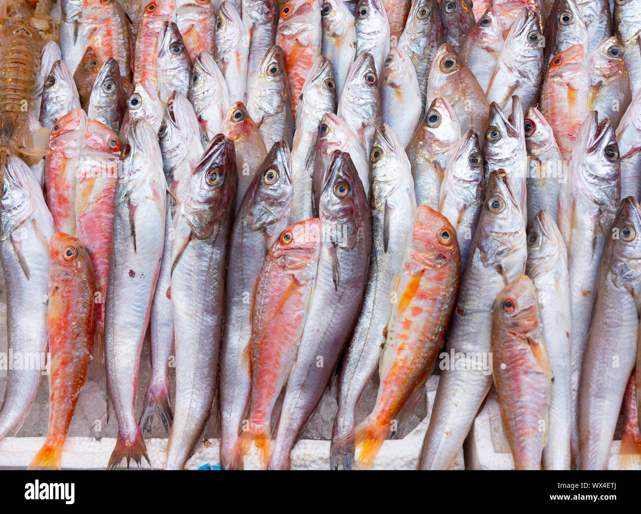 Fish at seamarket Stock Photo