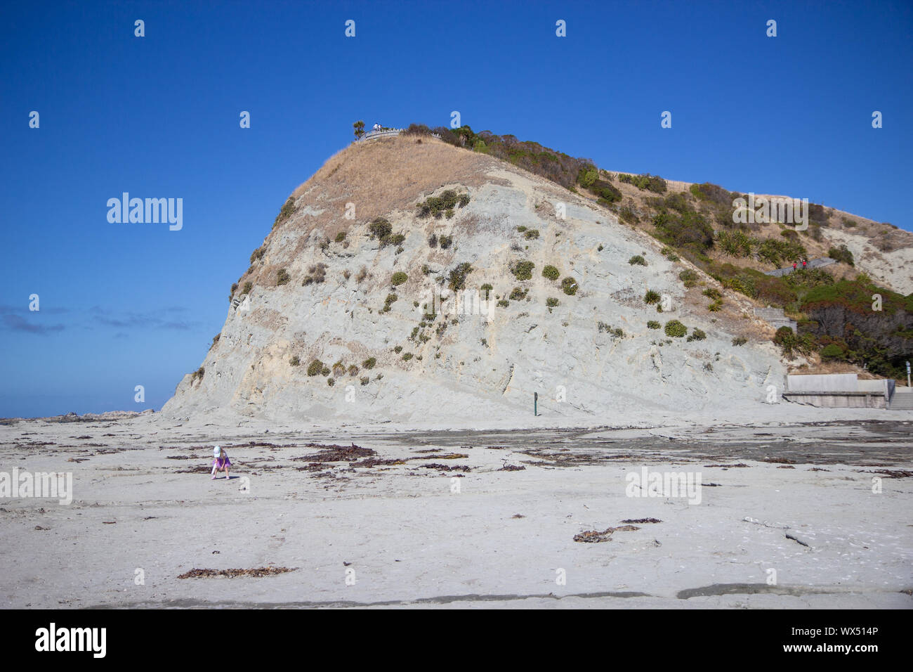 White cliff view at Kaikoura Peninsula Walkway, New Zeland Stock Photo