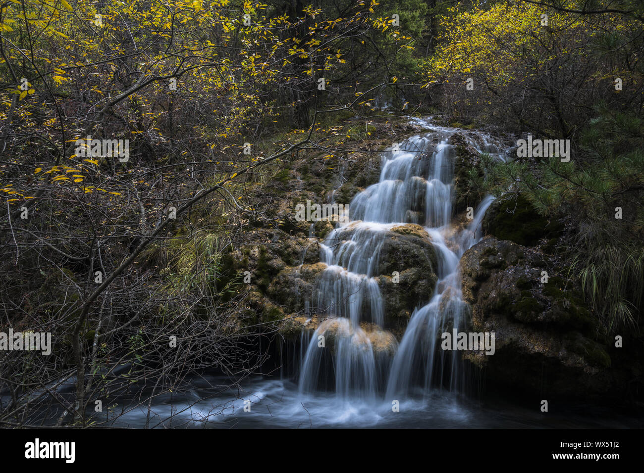 Outdoor leaf landscape hi-res stock photography and images - Alamy