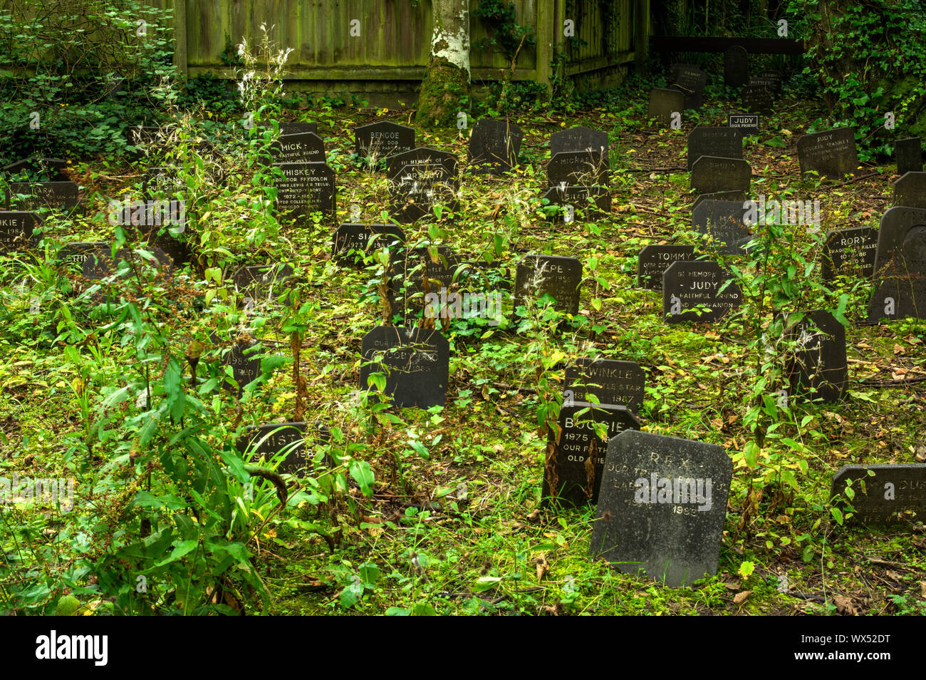 A patch of ground at Penrhos Coastal Park dedicated to dead pets. Stock Photo