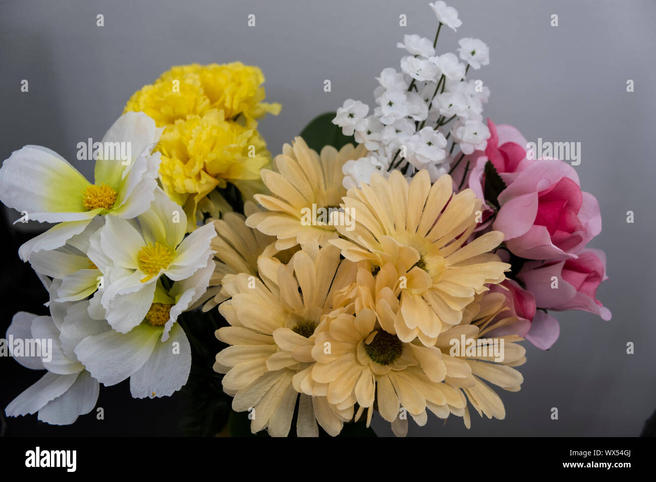Extreme close up flowers hi-res stock photography and images - Alamy