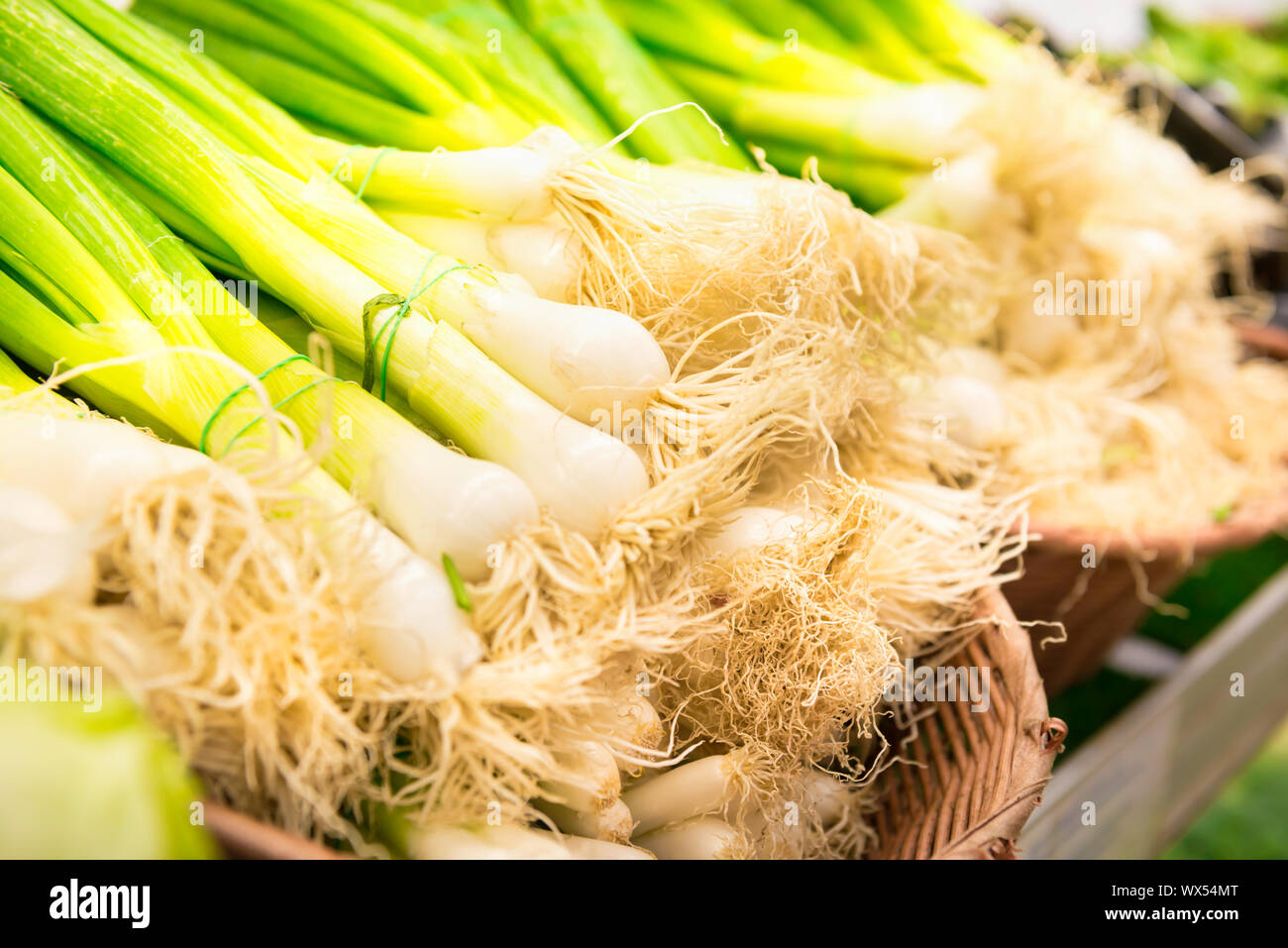 Bunches of green onion at market Stock Photo