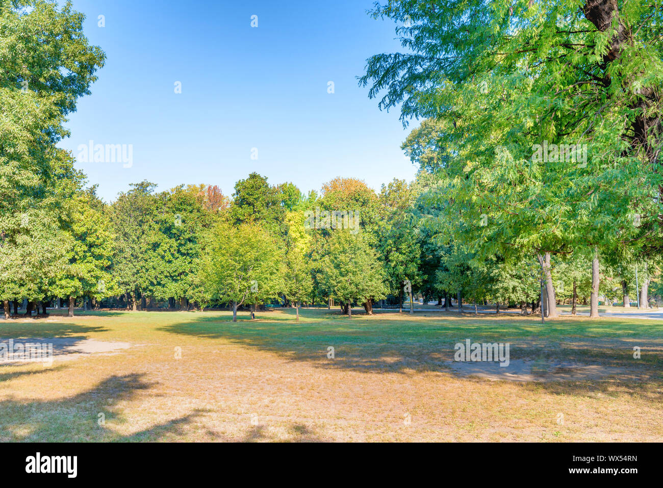 City park with green lawn Stock Photo - Alamy