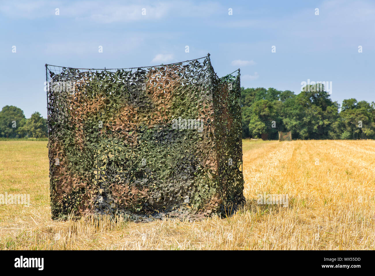 Camouflage tent in dutch grain field Stock Photo