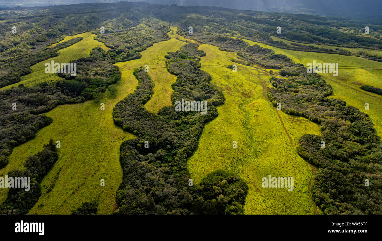 Aerial view from a fixed wing airplane of interior Kaui, Hawaii, USA near Lihue showing lush green meadows, tropical forests Stock Photo