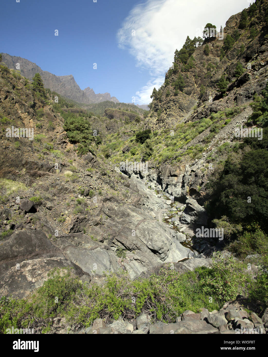 Hike through the Barranco de Las Angustias Stock Photo