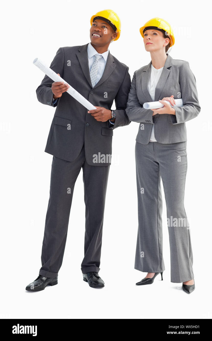 40 professional business woman Cut Out Stock Images & Pictures - Alamy