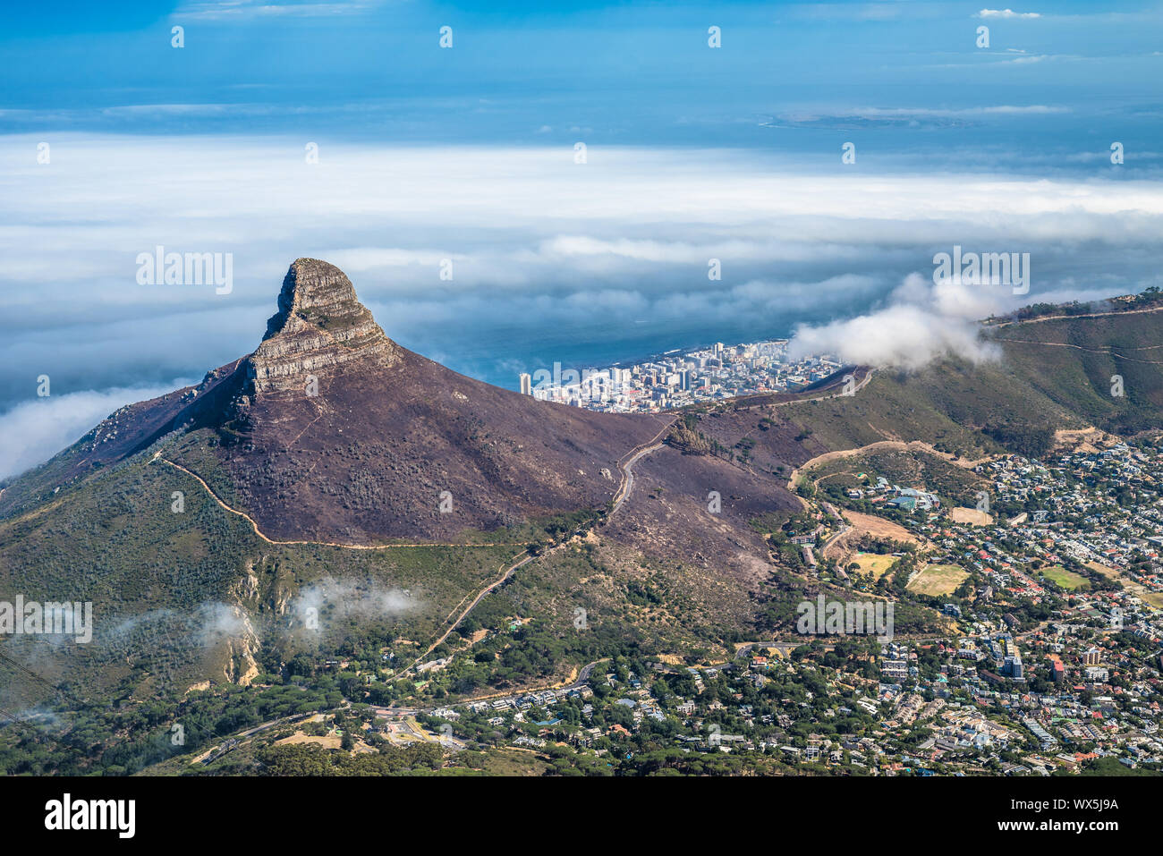 Panoramic View Of Cape Town Lion S Head And Signal Hill From The Top Of Table Mountain Stock Photo Alamy