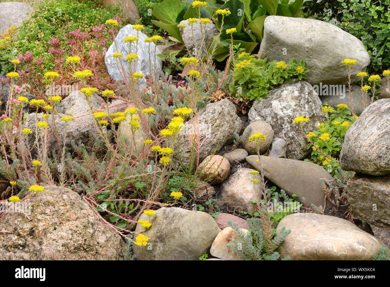 Rock garden Stock Photo