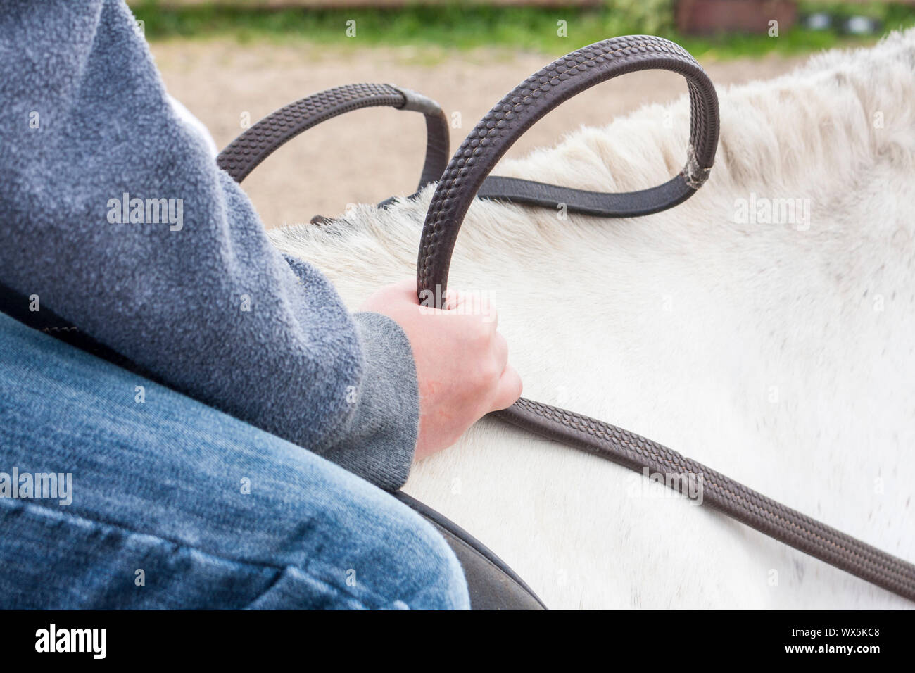 Closeup of a young boy holding the reins of a white pony in his hands
