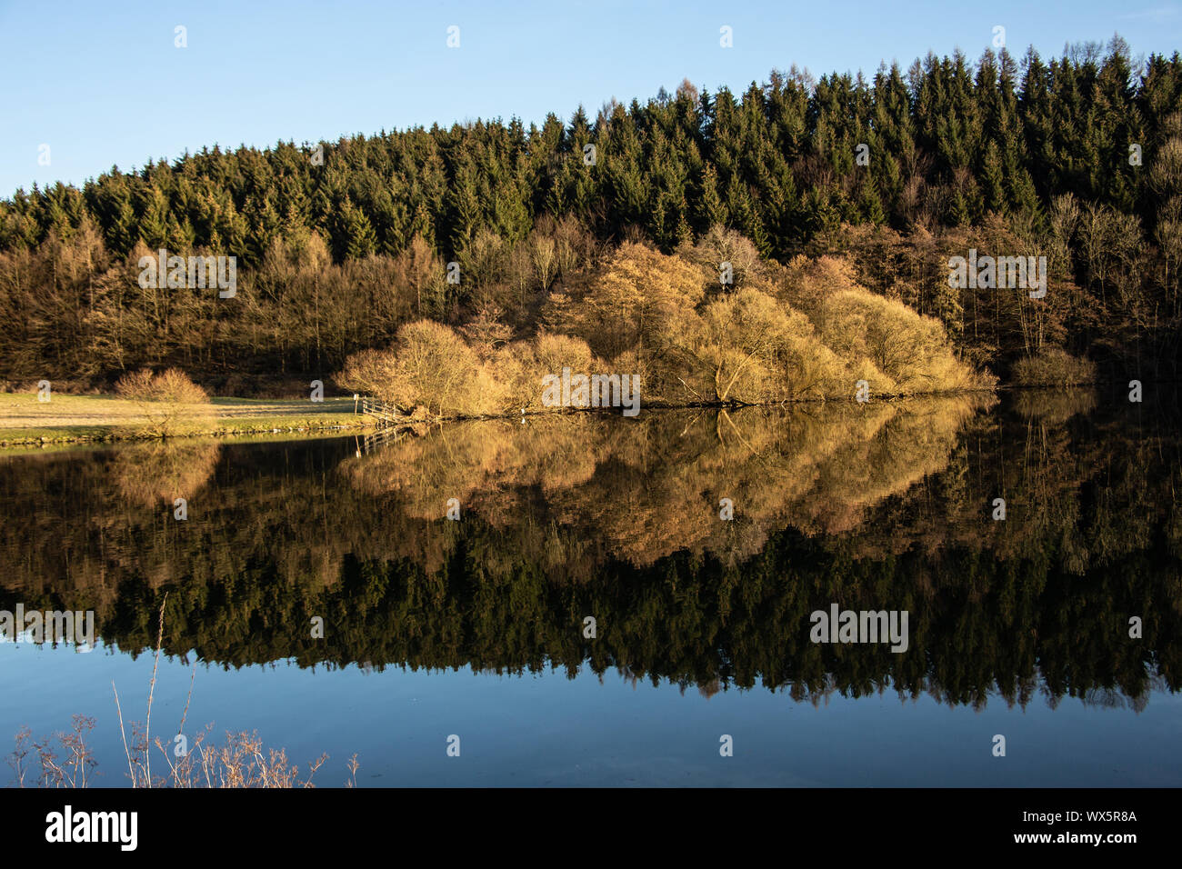 Autumn lake with reflections of trees in the water Stock Photo