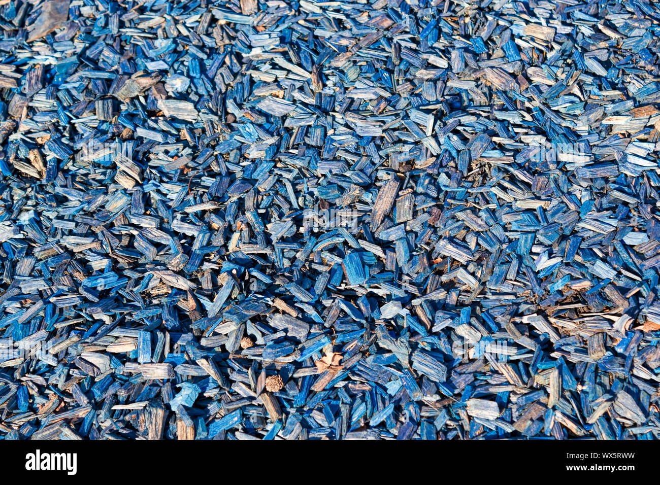 Wood texture blue Stock Photo