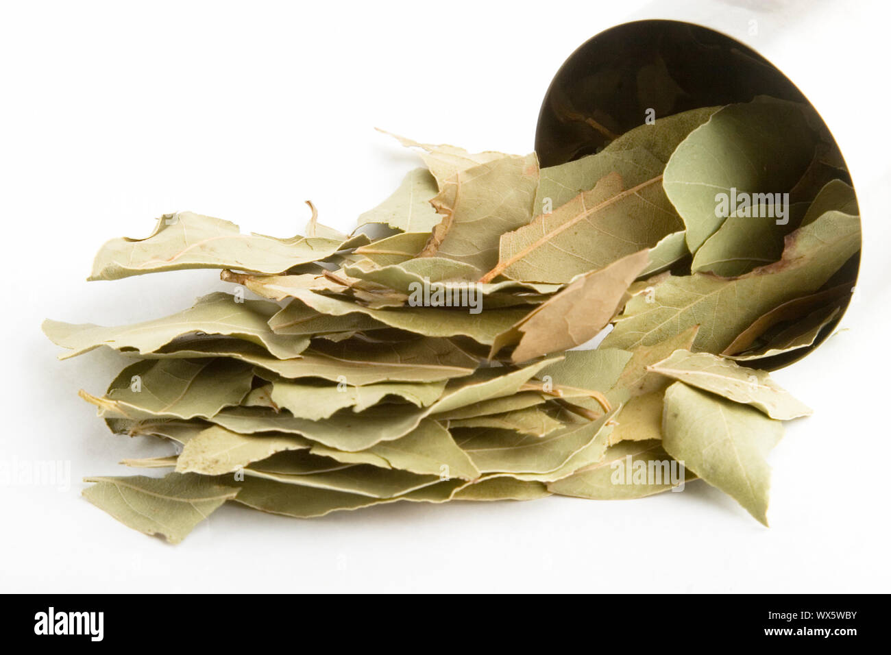 Bulk Bay Leaves (Laurus nobilis Stock Photo Alamy