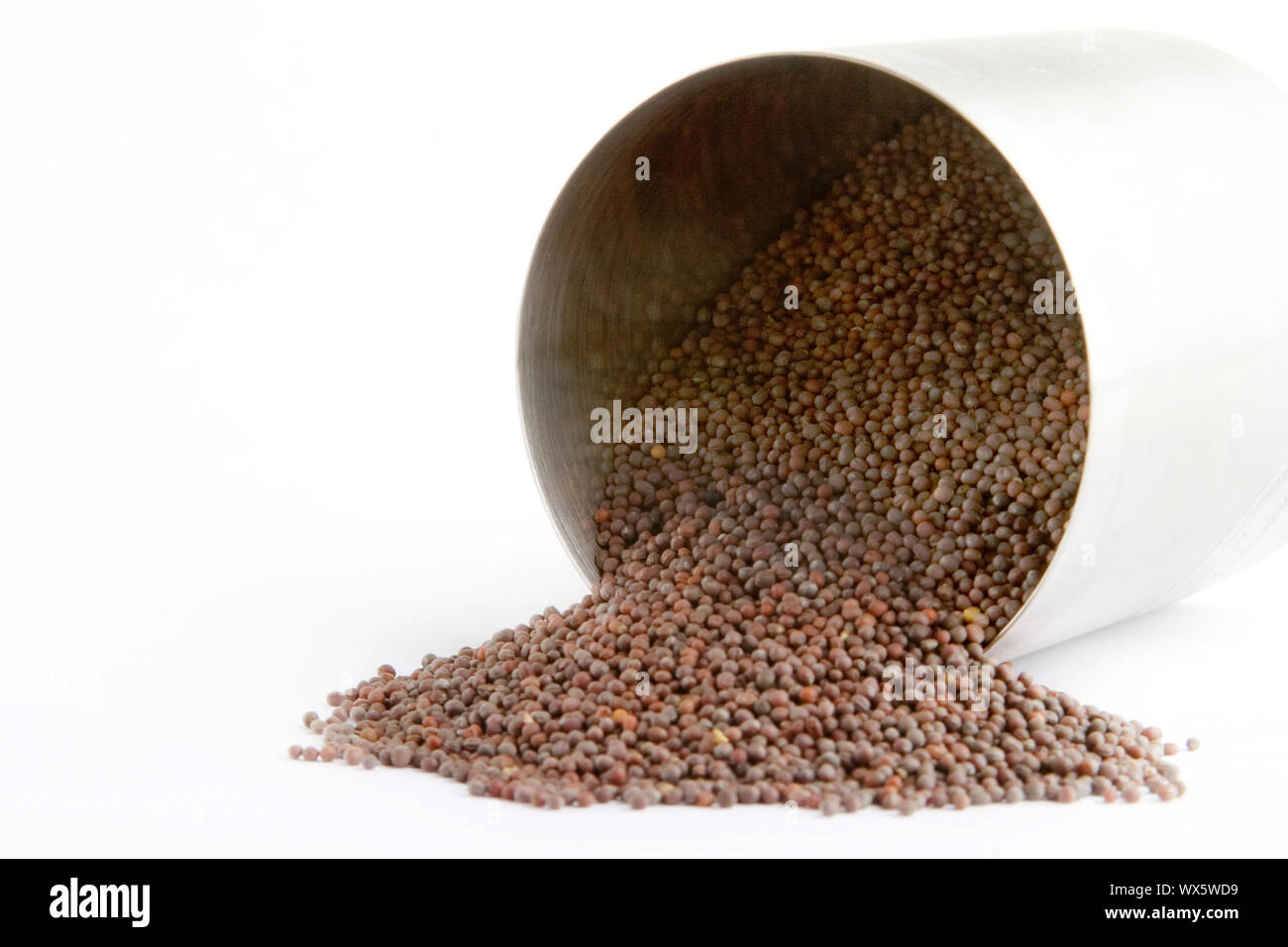 Bulk black (Brassica hirta) mustard spilling froma container Stock
