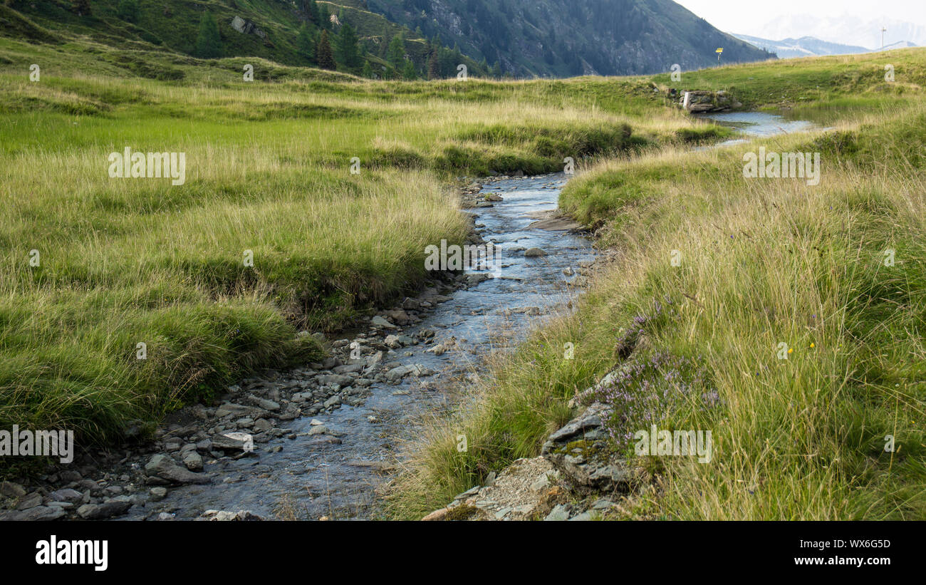 water stream small river on mountain top Stock Photo