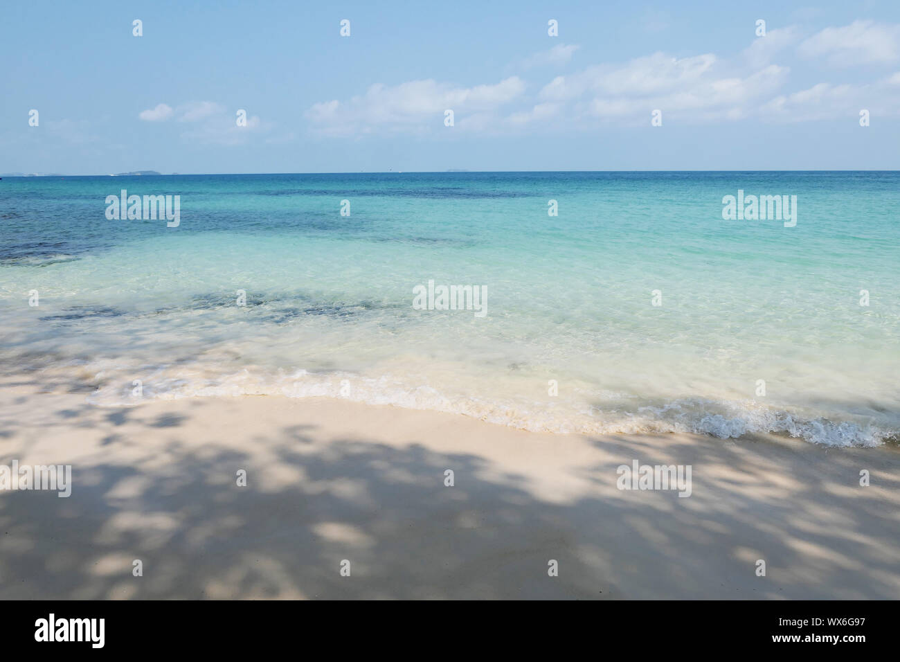 Exotic tropical beauty hi-res stock photography and images - Alamy