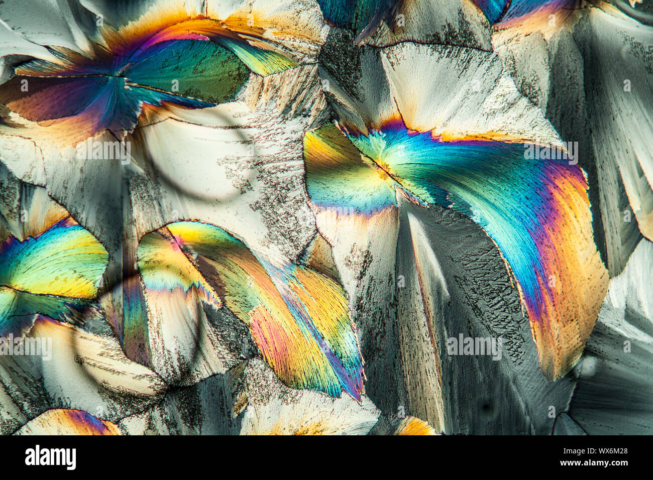 Glutamate crystals in polarized light Stock Photo