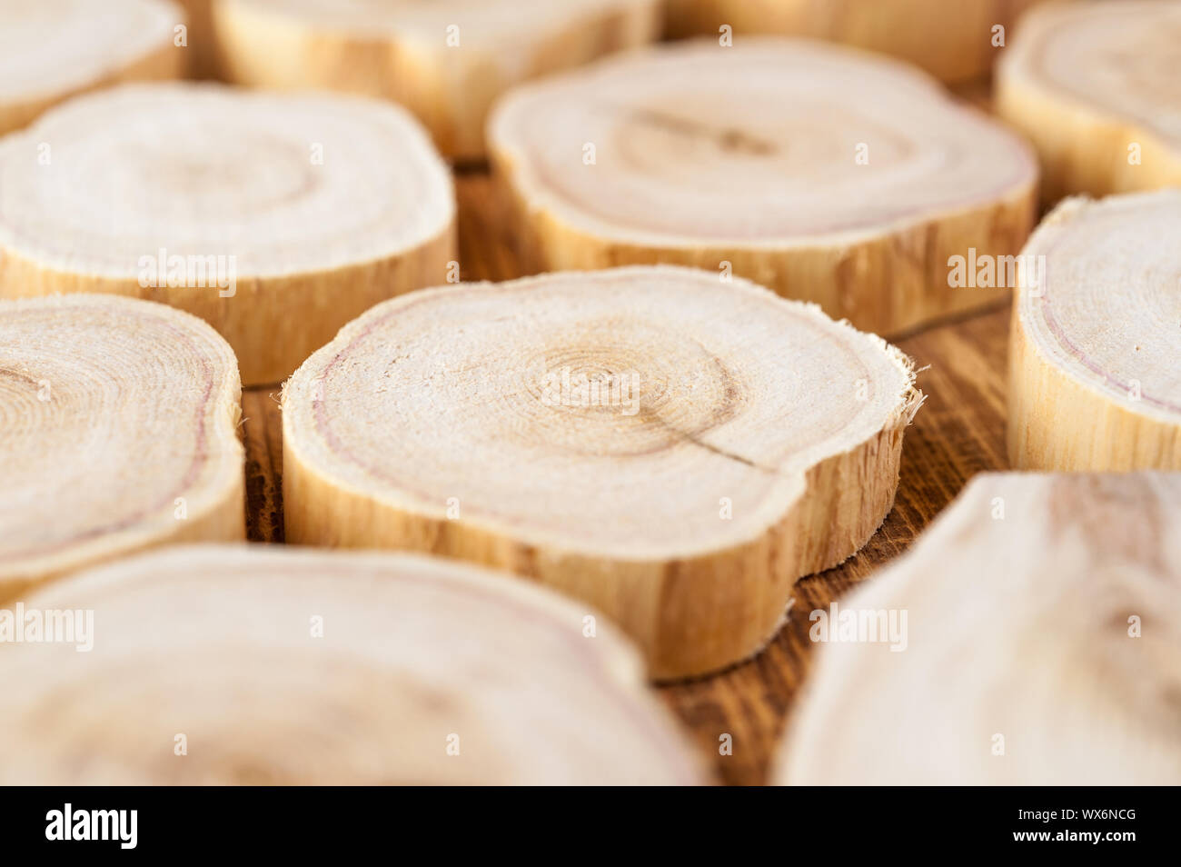 Texture of cross section juniper wood. Pattern of tree stump background