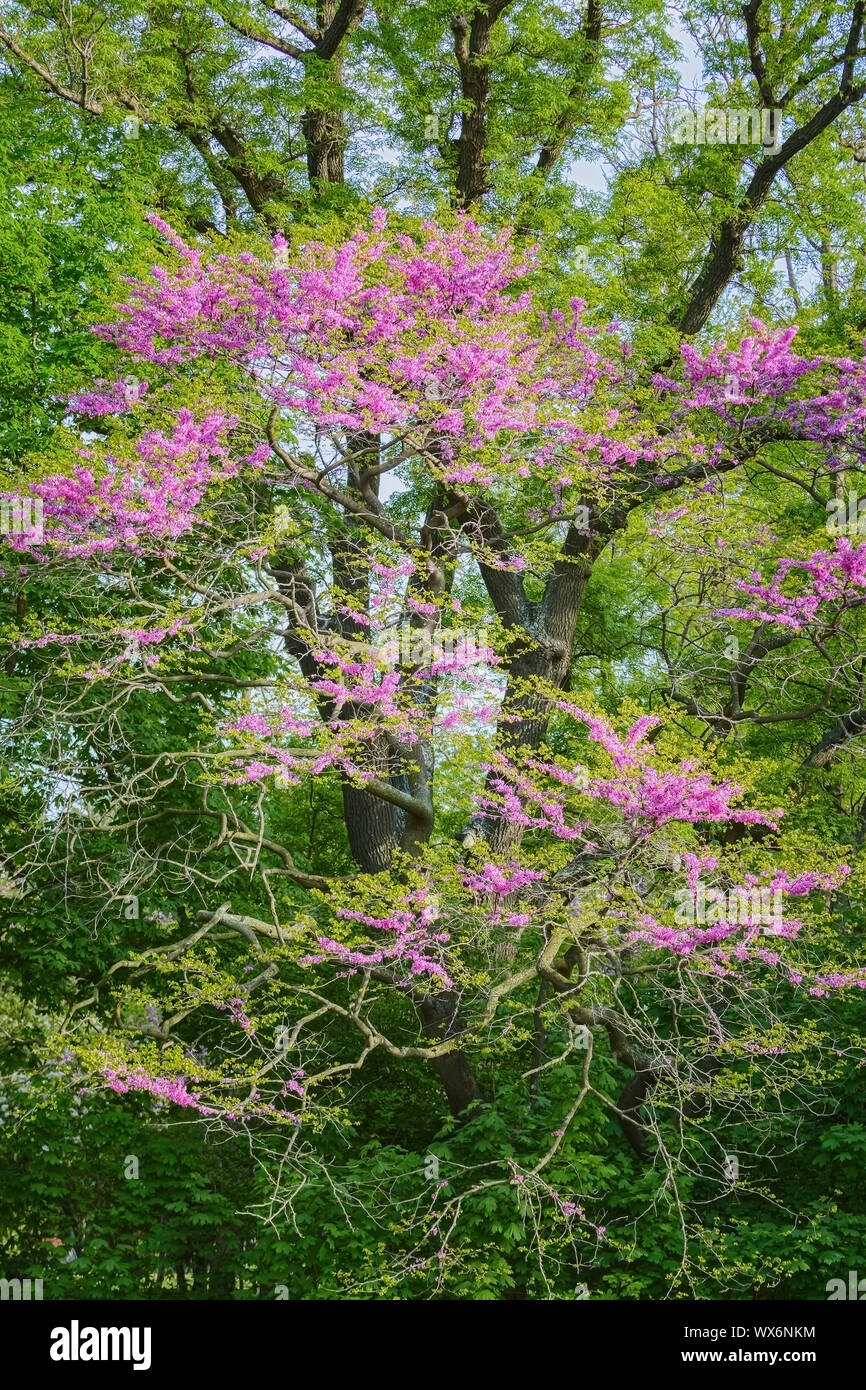 Ecological park hi-res stock photography and images - Alamy