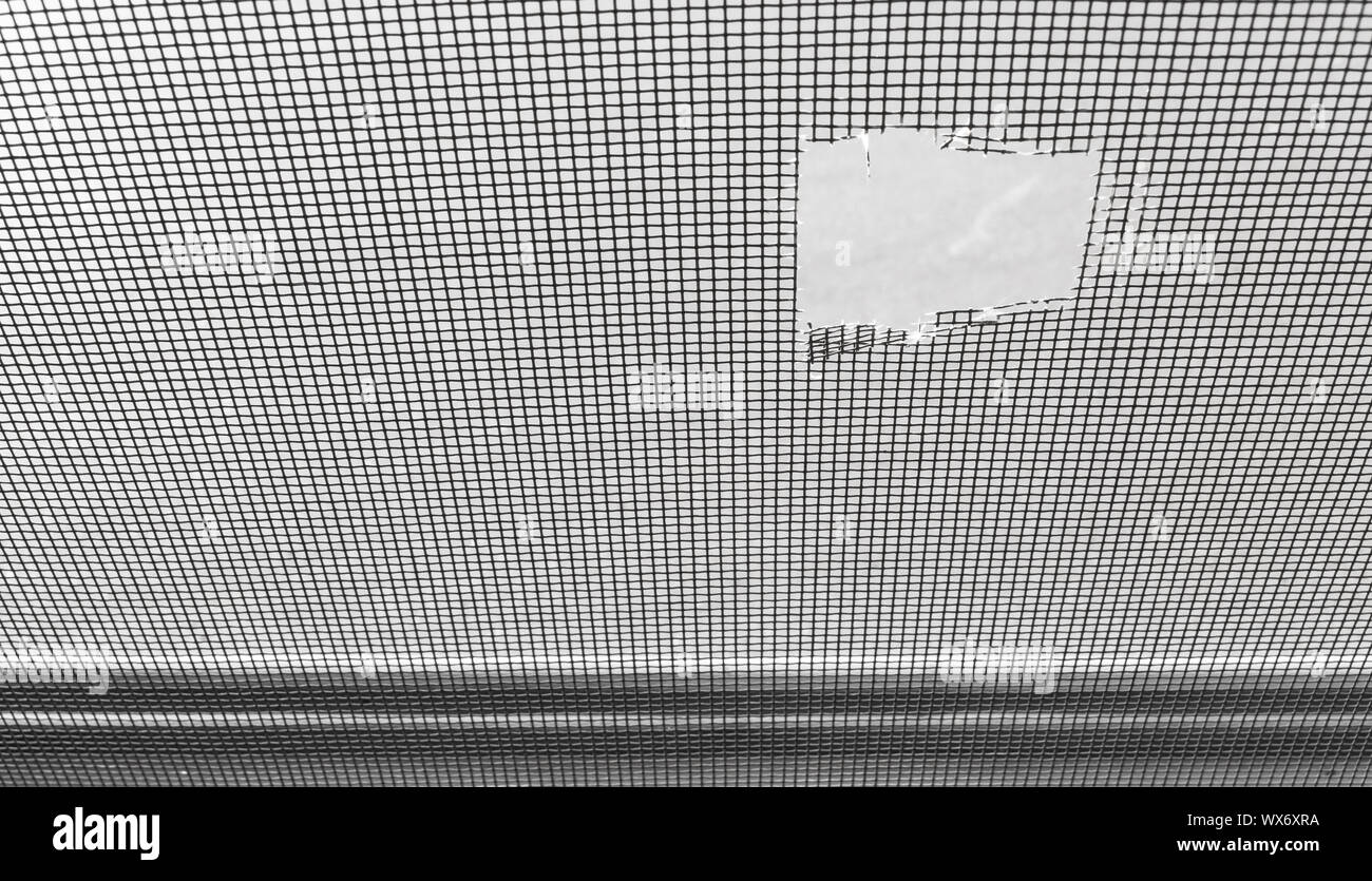 Torn mosquito screen Stock Photo