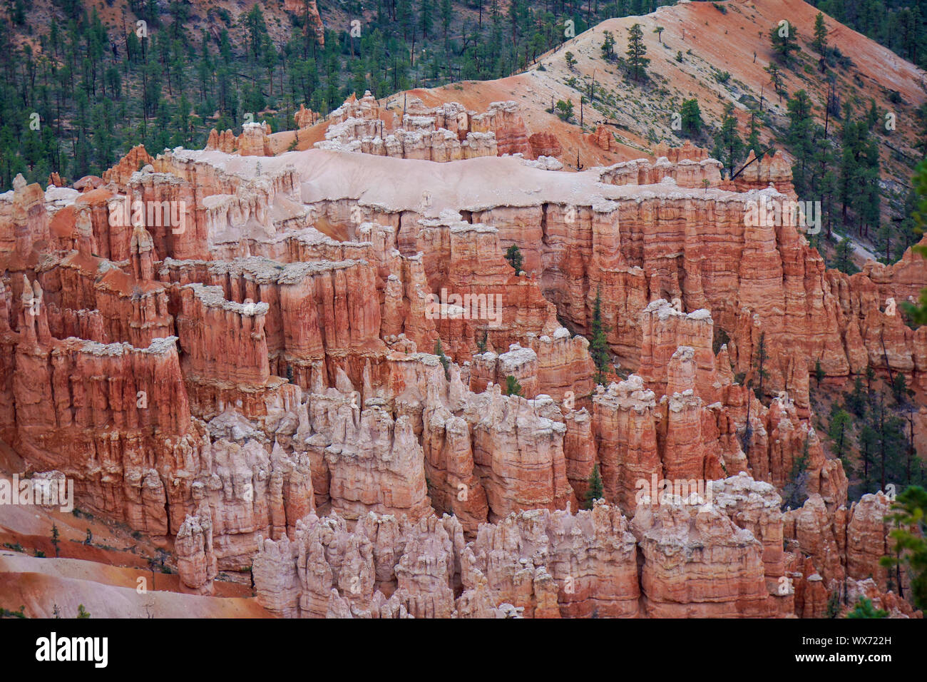 beautiful colored pillars of bryce canyon Stock Photo