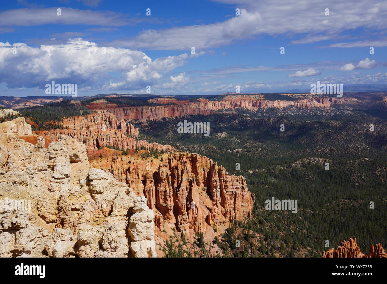 mountain line and conifers in bryce canyon Stock Photo
