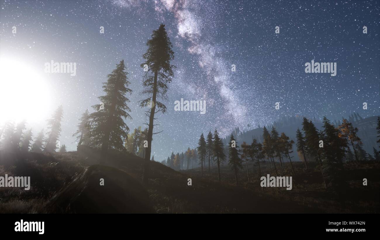 Milky Way stars with moonlight above pine trees forest Stock Photo - Alamy