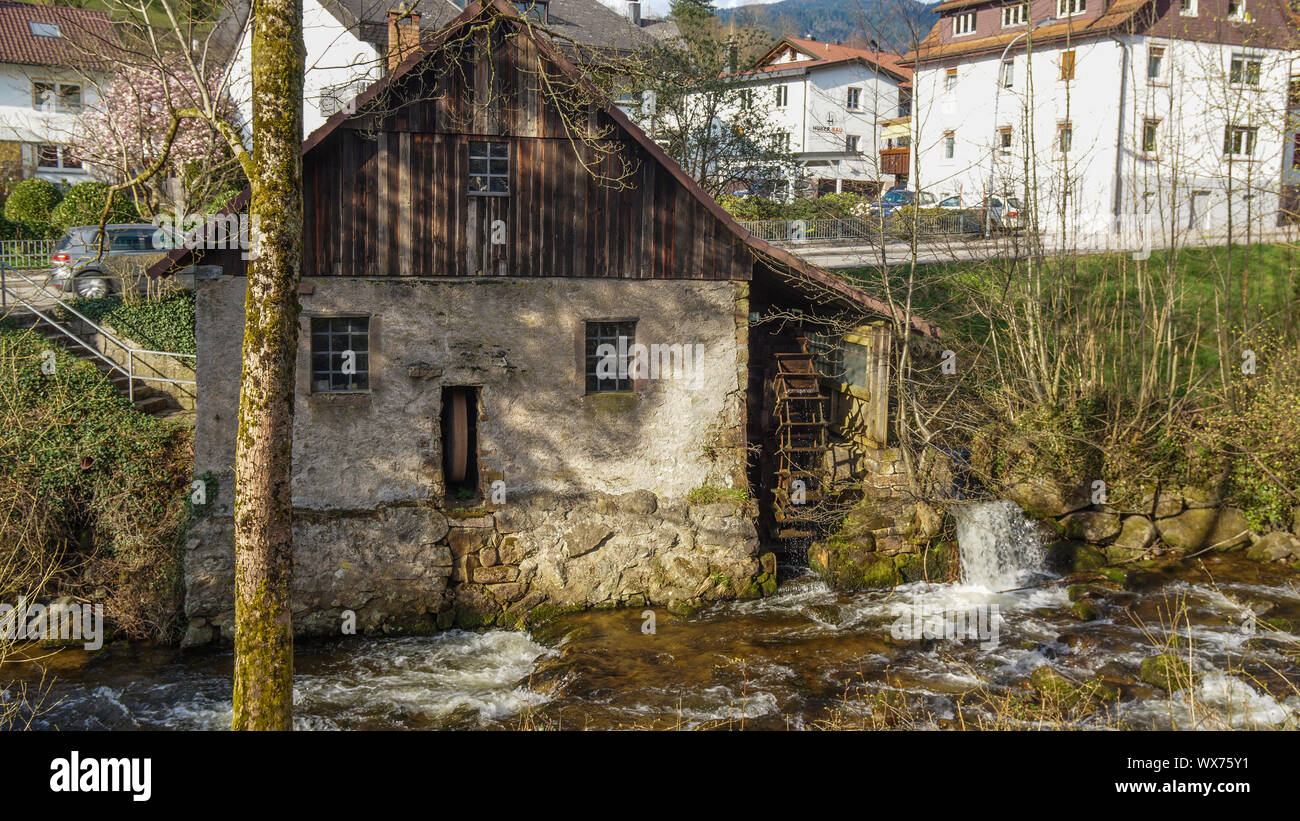 old rotten mill in black forest Stock Photo