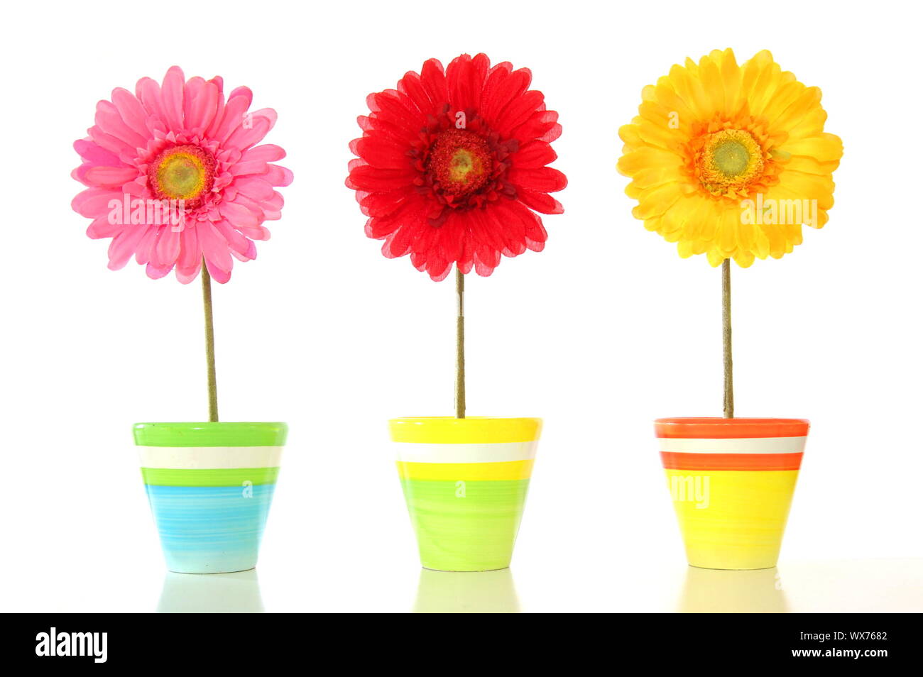 colorful spring flowers isolated on white background Stock Photo - Alamy