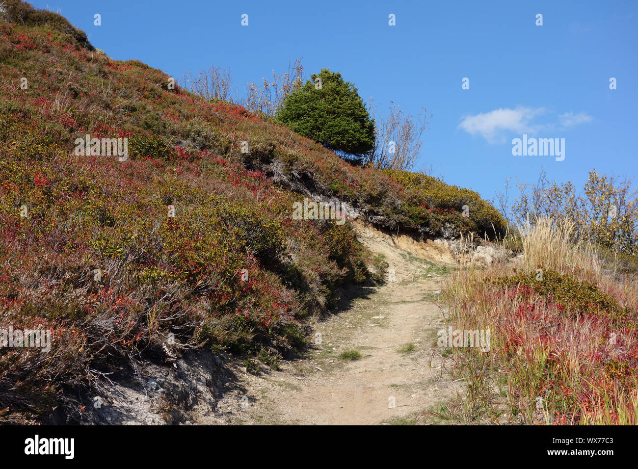 hiking in the alps Stock Photo