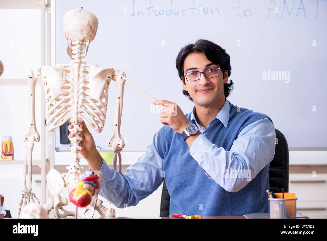 Young lecturer teacher teaching anatomy Stock Photo Alamy