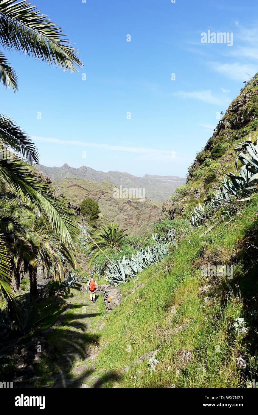 Beautiful hiking trail on La Gomera Stock Photo - Alamy