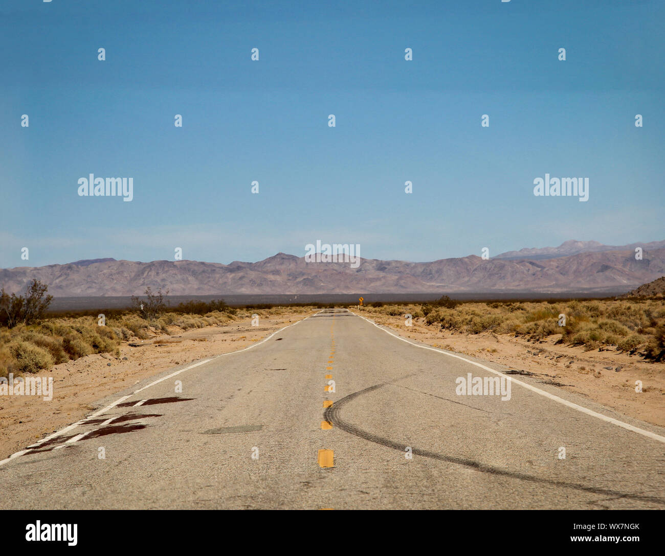 Road through the desert in Nevada Stock Photo Alamy