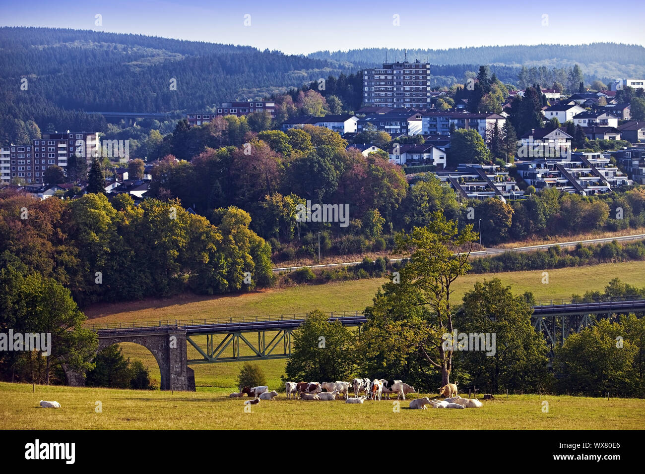 residental area in low mountain range, Meinerzhagen, North Rhine-Westphalia, Germany, Europe Stock Photo