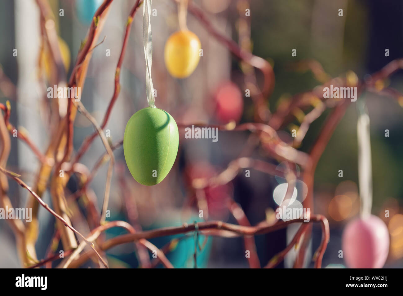 Easter eggs on tree with bokeh Stock Photo