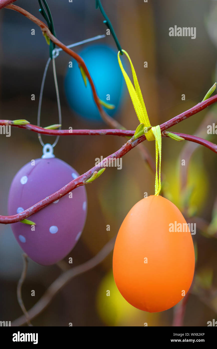 Easter eggs on tree with bokeh Stock Photo
