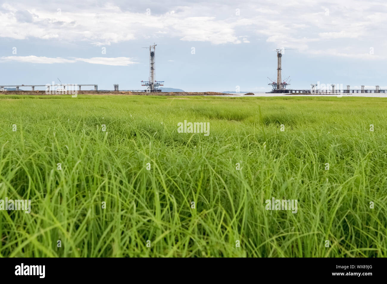 bridge construction with grassland Stock Photo