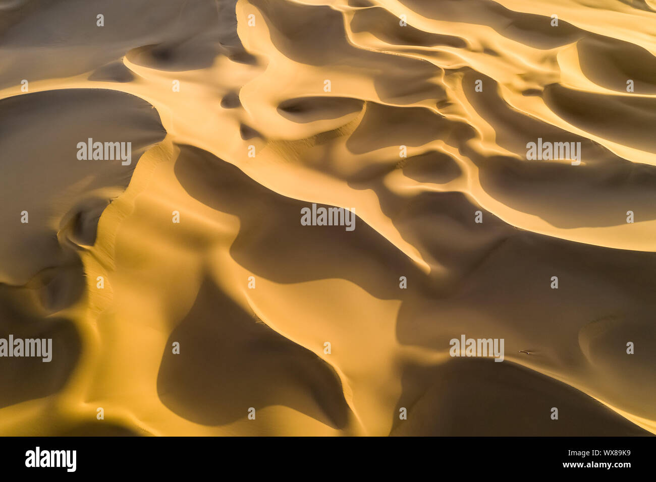 beautiful desert closeup Stock Photo
